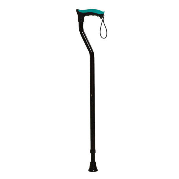 Bastón Cuello de Ganso